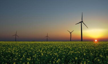 Helios Volt – Revolutionising Energy Solutions with Crowd House Energy