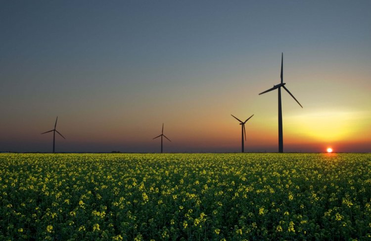 Helios Volt – Revolutionising Energy Solutions with Crowd House Energy