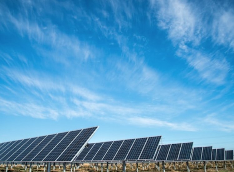 How Solar Panels Help Newcastle Reach Net Zero Goals